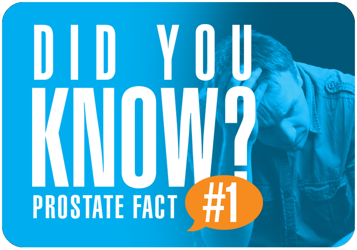 Prostate Fact #1