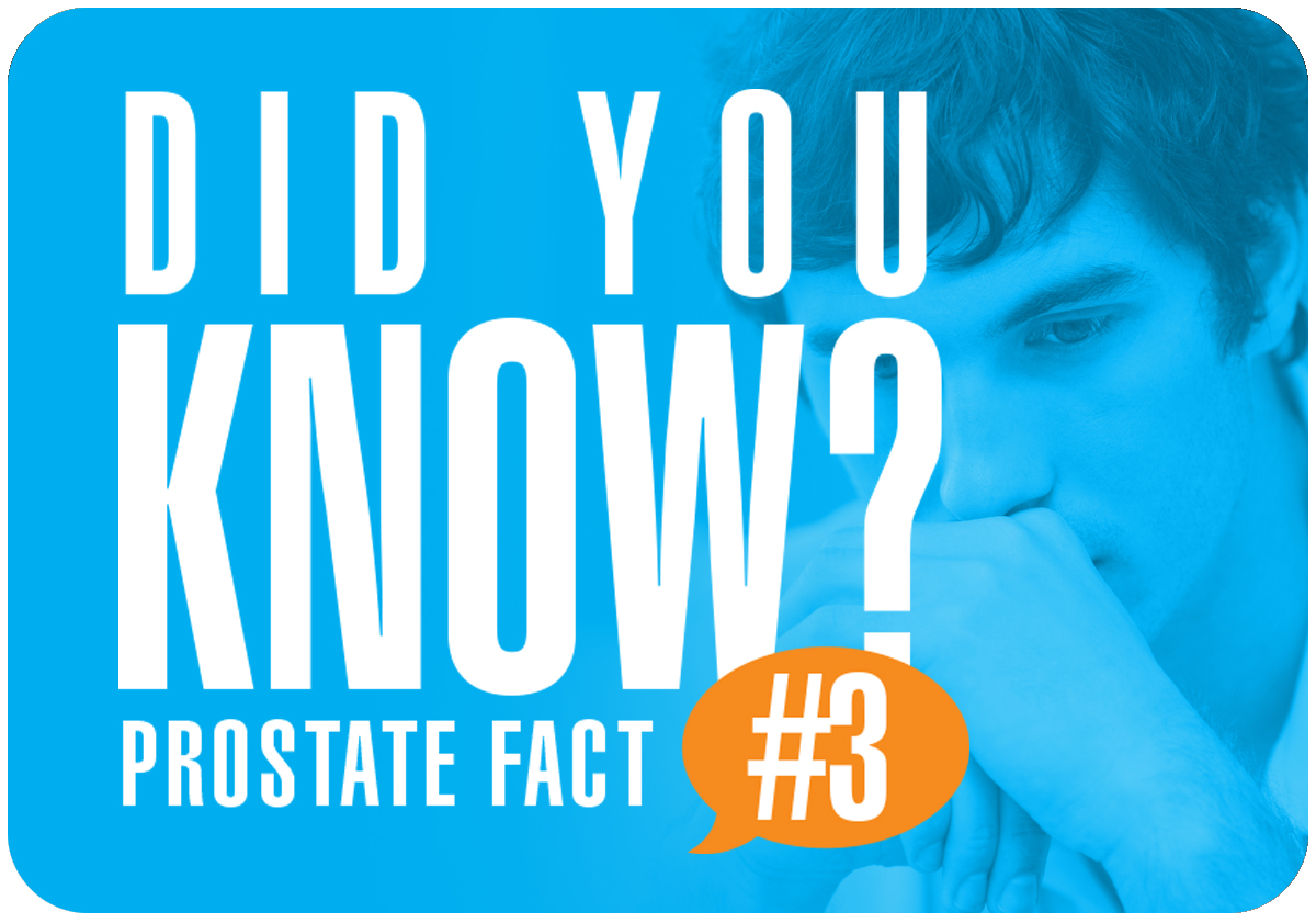 Prostate Fact #3