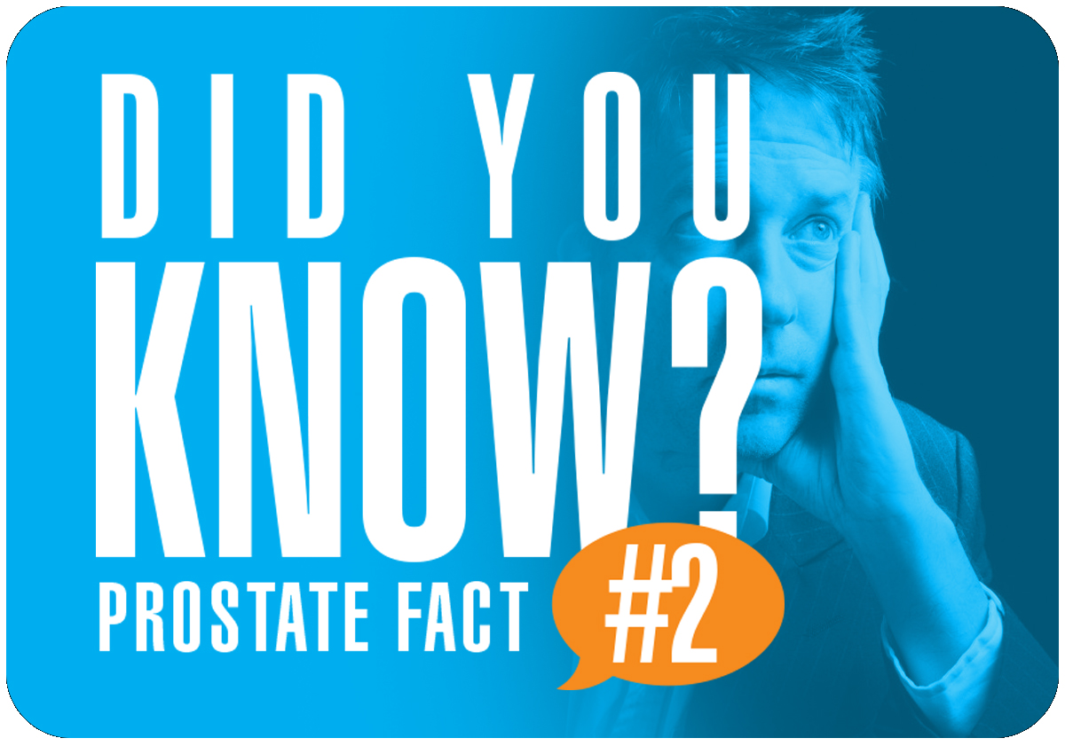 Prostate Fact #2