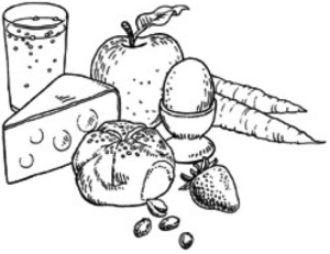 diagram showing food